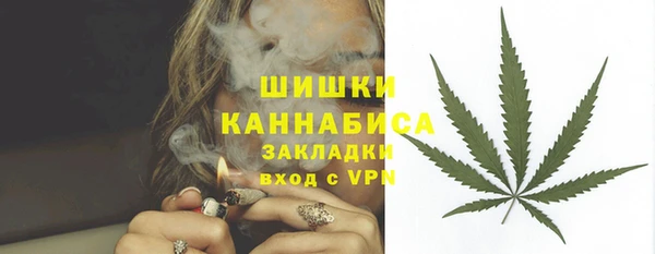 PSILOCYBIN Няндома