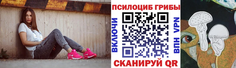 закладки  Знаменск  Псилоцибиновые грибы MAGIC MUSHROOMS 